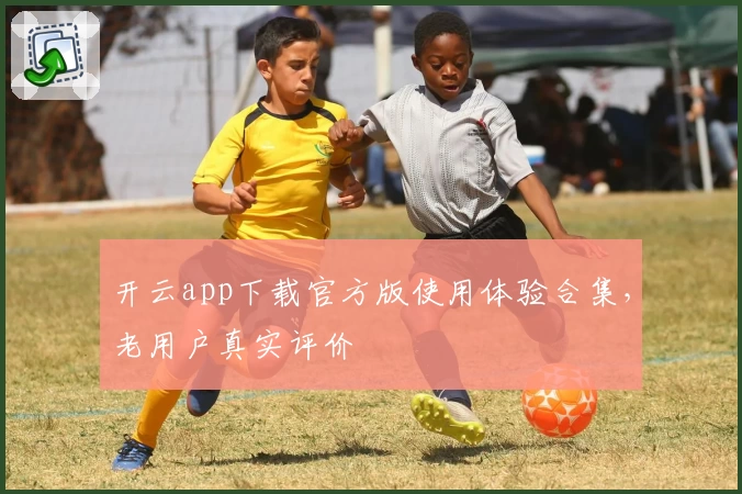 开云app下载官方版使用体验合集，老用户真实评价