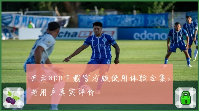 开云app下载官方版使用体验合集，老用户真实评价