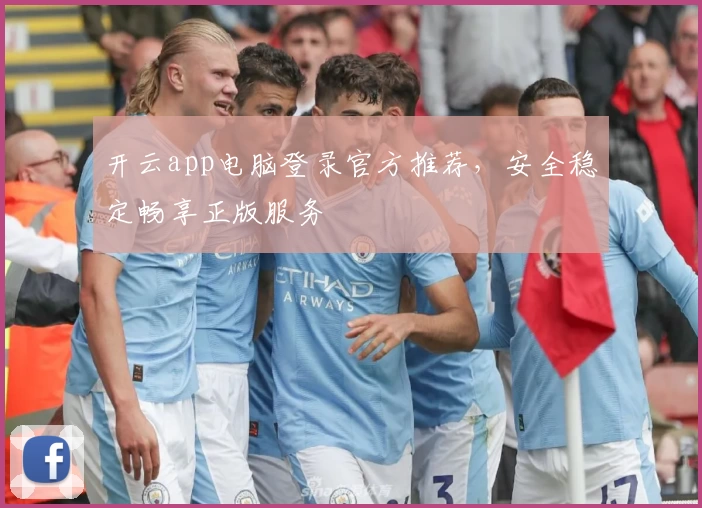 开云app电脑登录官方推荐，安全稳定畅享正版服务