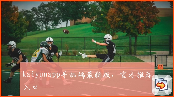 kaiyunapp手机端最新版，官方推荐入口
